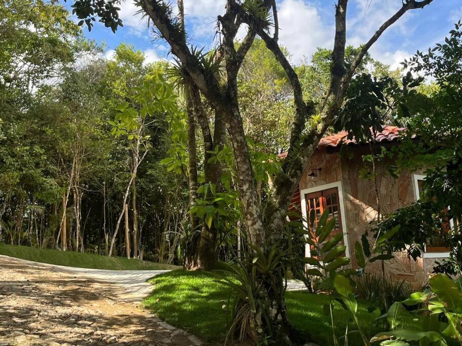 Chale Carolina Bela Villa Guaramiranga Exteriör bild